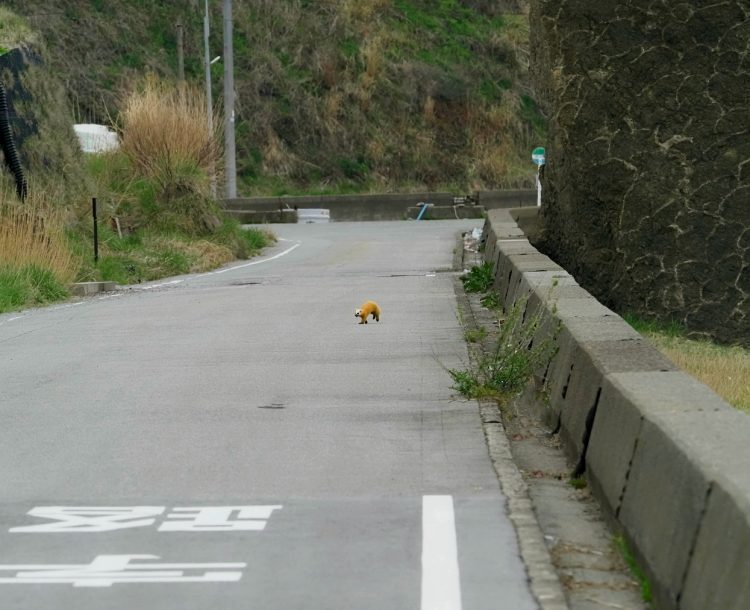 沢崎, 佐渡 by T. T. Tanaka