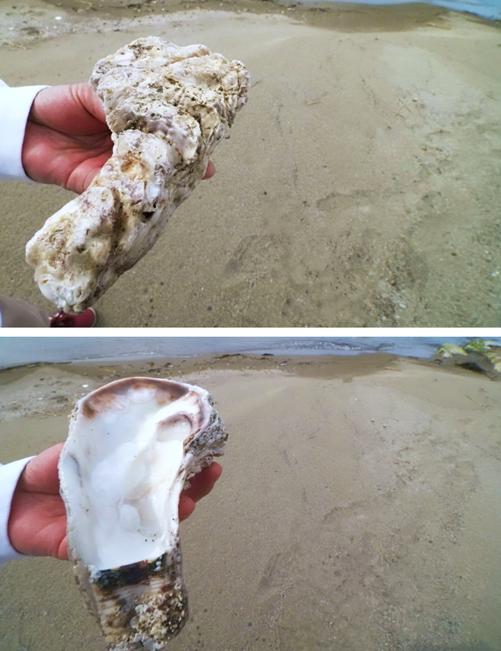 小比叡, 佐渡 by T. T. Tanaka