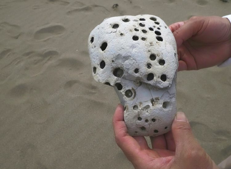 小比叡, 佐渡 by T. T. Tanaka