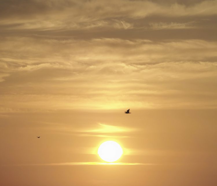 沢崎, 佐渡 by T. T. Tanaka