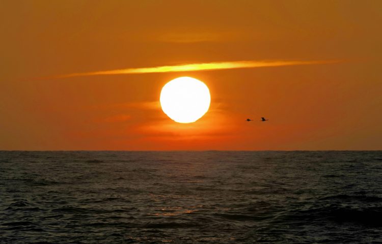 沢崎, 佐渡 by T. T. Tanaka