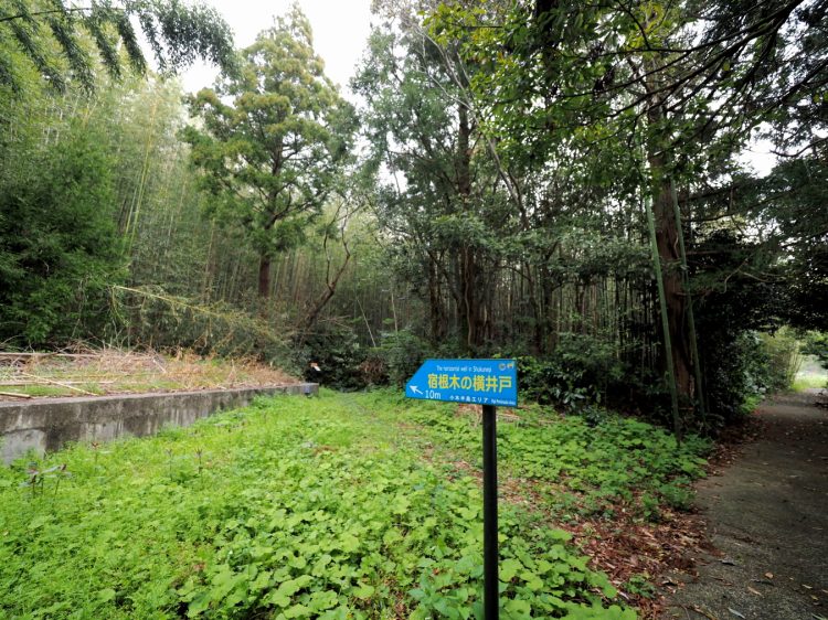 宿根木, 佐渡 by T. T. Tanaka