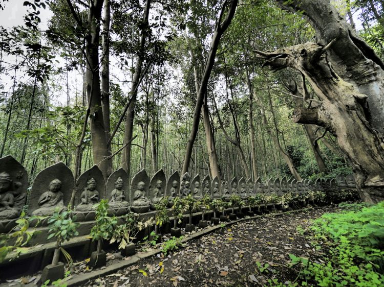 宿根木, 佐渡 by T. T. Tanaka