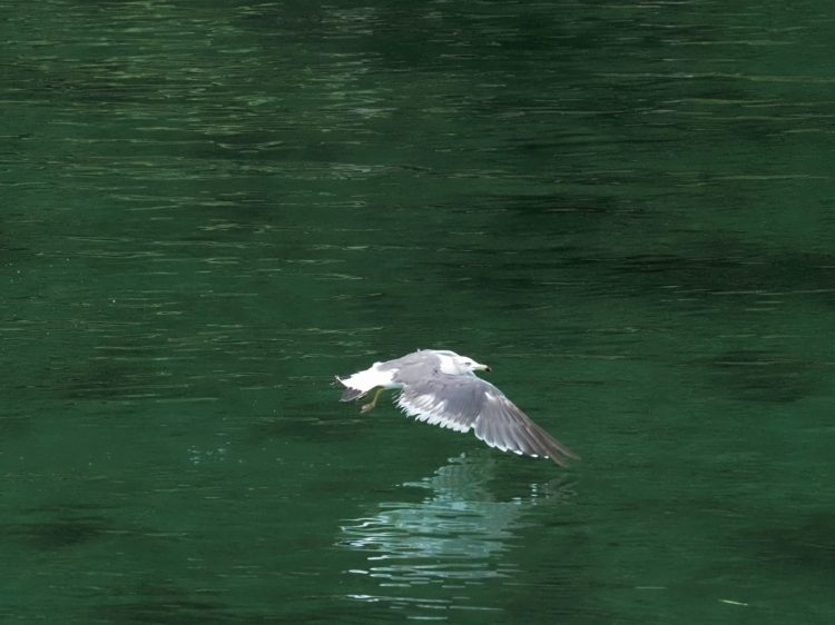 小木, 佐渡 by T. T. Tanaka