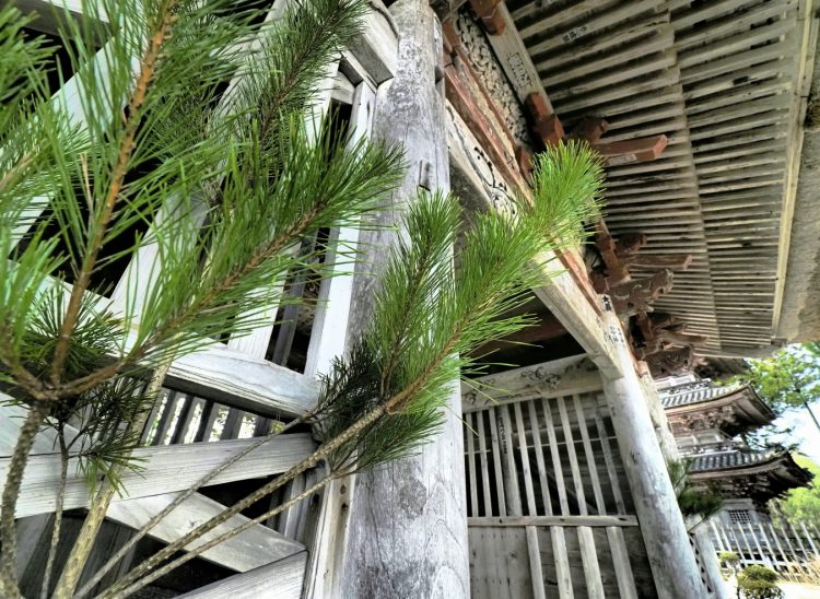 妙宣寺, 阿佛防, 佐渡 by T. T. Tanaka