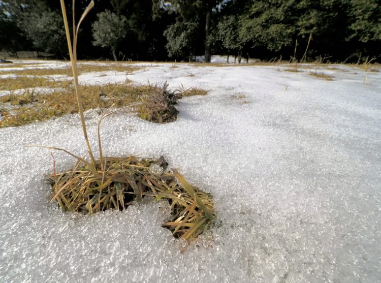 佐渡国分寺, 佐渡 by T. T. Tanaka