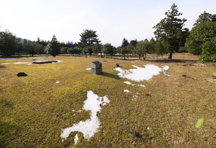 佐渡国分寺, 佐渡 by T. T. Tanaka