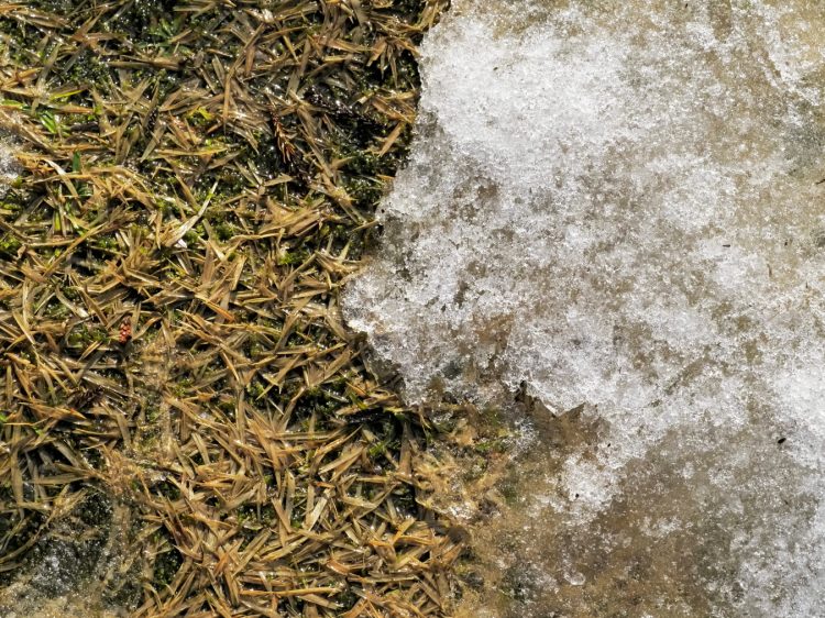 大膳神社, 竹田, 佐渡 by T. T. Tanaka