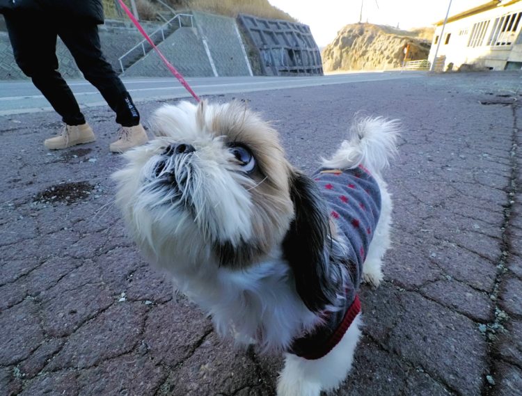 平根崎, 戸中, 佐渡 by T. T. Tanaka