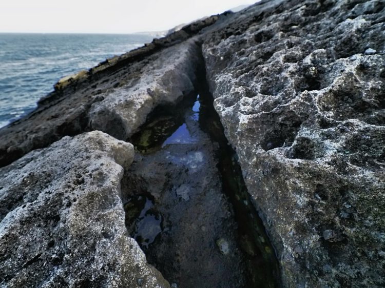 平根崎, 戸中, 佐渡 by T. T. Tanaka