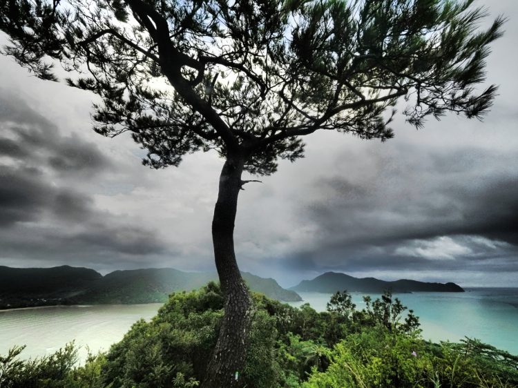 マネン崎, 瀬戸内町, 奄美大島 by T. T. Tanaka