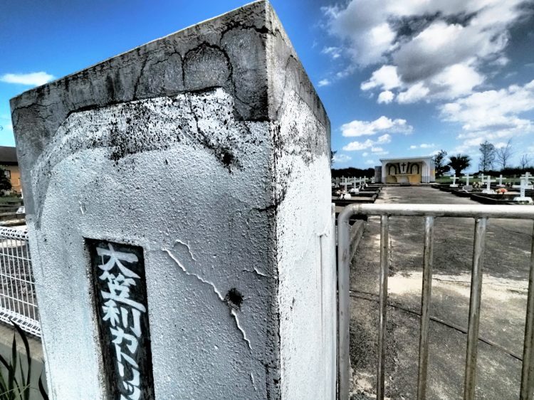 笠利崎観光公園, 笠利町, 奄美大島 by T. T. Tanaka