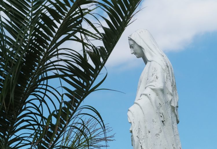 笠利崎観光公園, 笠利町, 奄美大島 by T. T. Tanaka