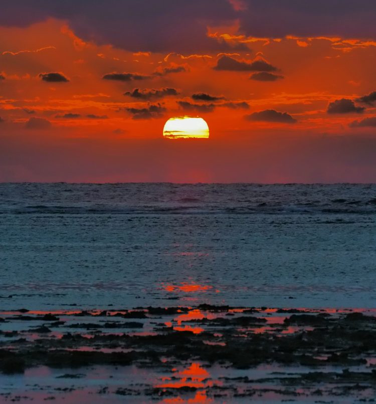 大瀬海岸, 笠利町, 奄美大島 by T. T. Tanaka