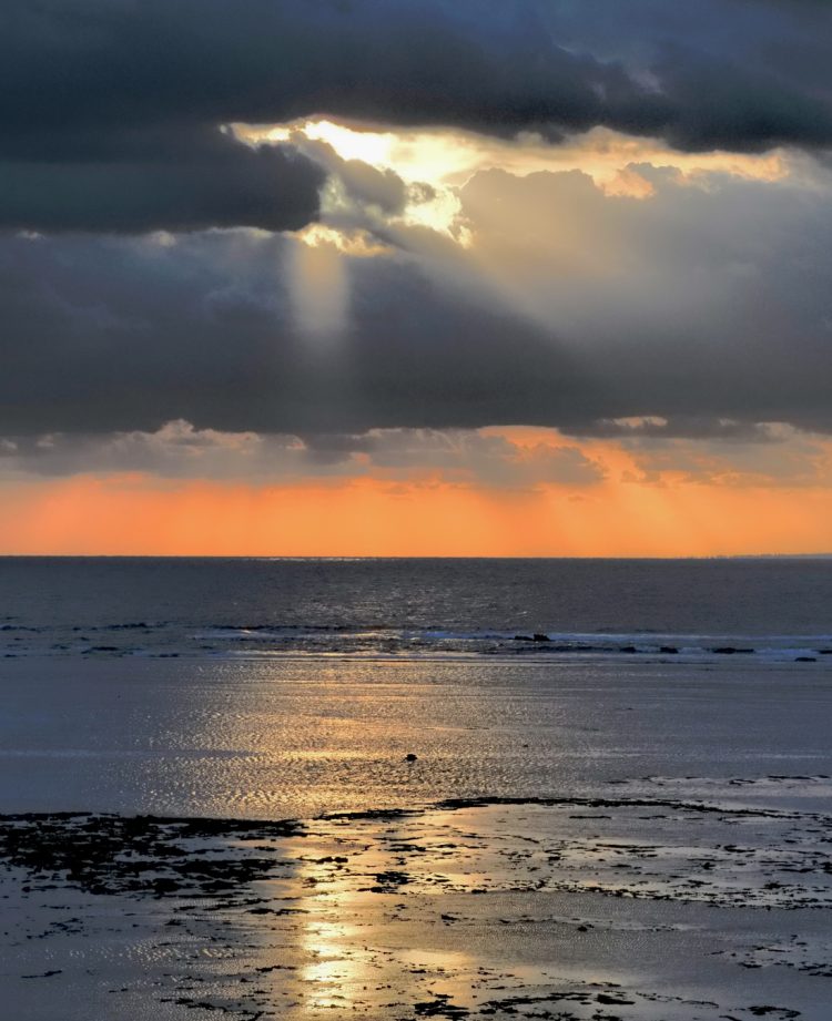 大瀬海岸, 笠利町, 奄美大島 by T. T. Tanaka