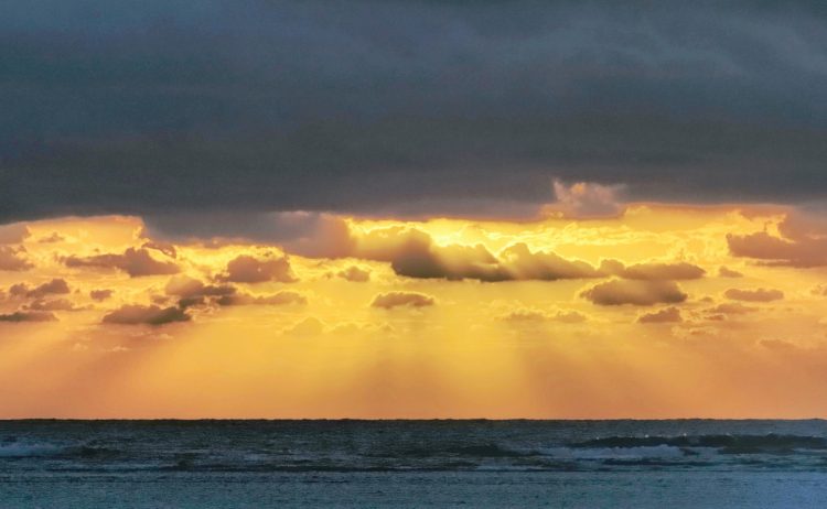 大瀬海岸, 笠利町, 奄美大島 by T. T. Tanaka