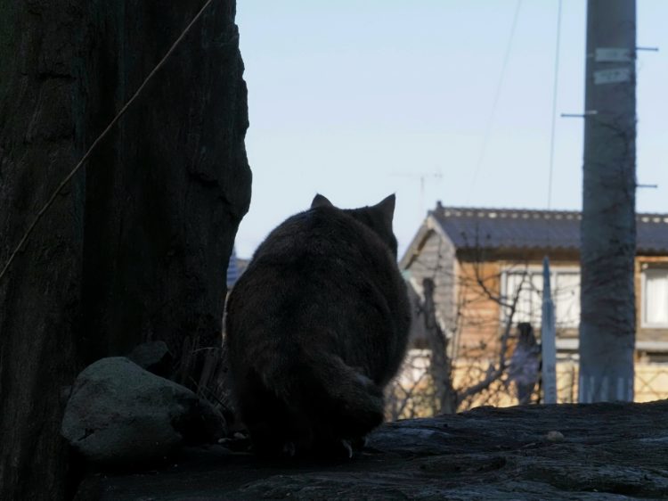 石名清水寺, 石名, 佐渡 by T. T. Tanaka