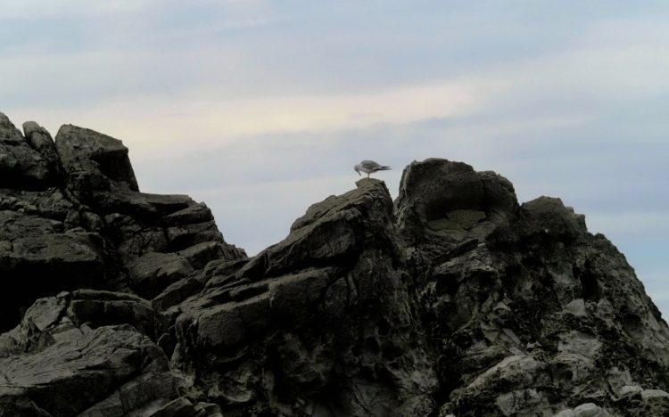 岩谷口, 佐渡 by T. T. Tanaka