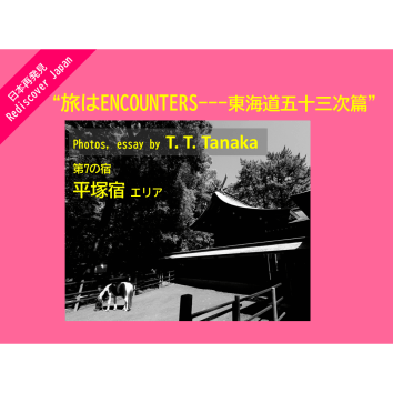 ＜平塚宿エリア＞