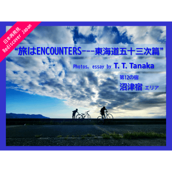 ＜沼津宿エリア＞