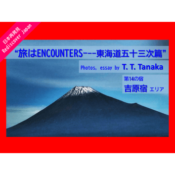 ＜吉原宿エリア＞