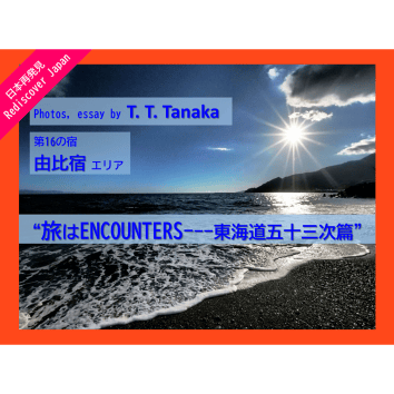 ＜由比宿エリア＞