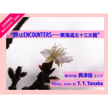 ＜興津宿エリア＞